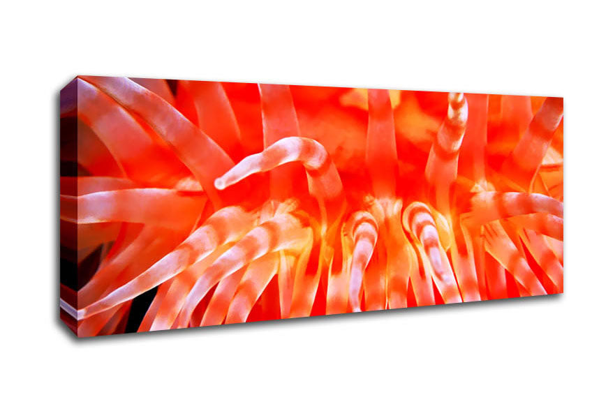 The Sea Of Life Canvas Wall Art