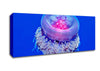 Neon Jellyfish Canvas Wall Art