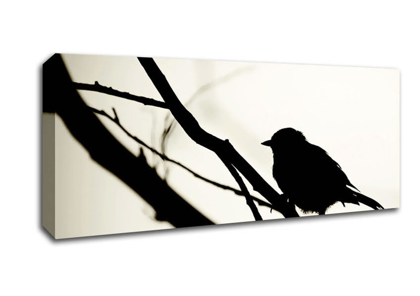 Birds Pirch Canvas Wall Art