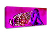 Pink Angel Wings Canvas Wall Art