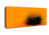 The Orange Thing Canvas Wall Art