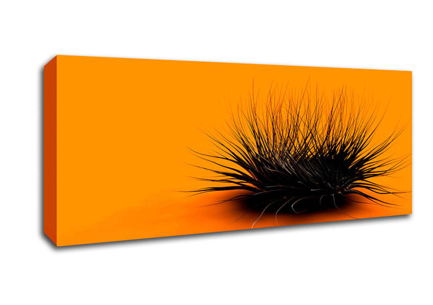 The Orange Thing Canvas Wall Art