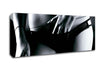 Plastic Beauty Canvas Wall Art