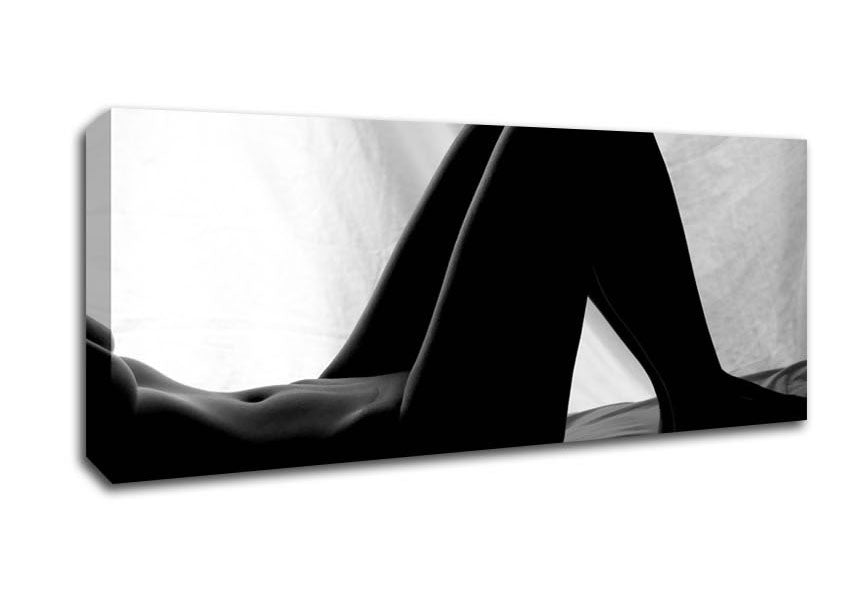 The Art Of A Womans Body Canvas Wall Art