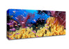The Oceans Colour Canvas Wall Art