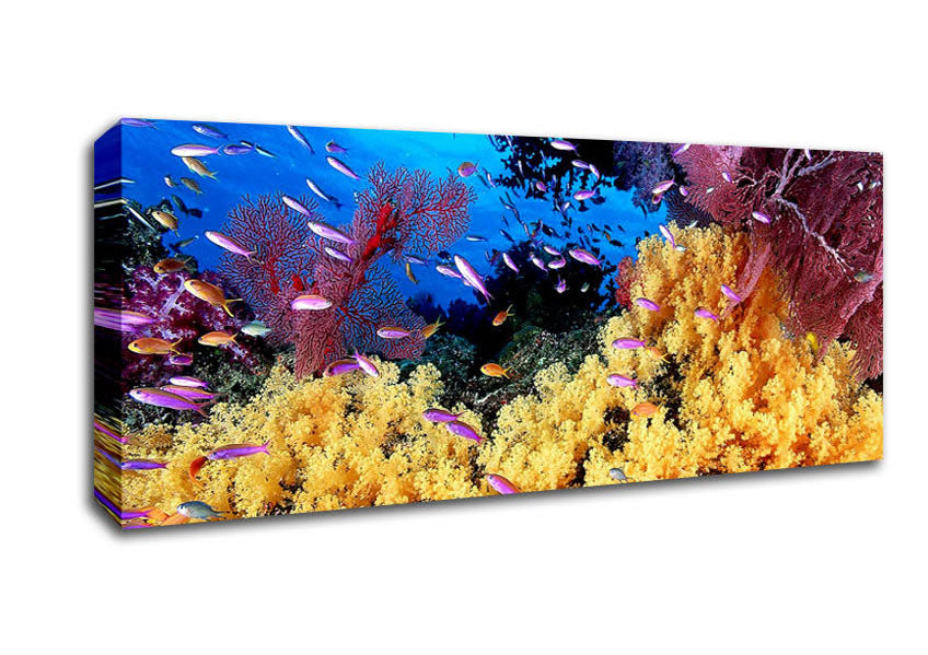The Oceans Colour Canvas Wall Art