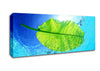 Blue Waters Of A Green Leaf Canvas Wall Art