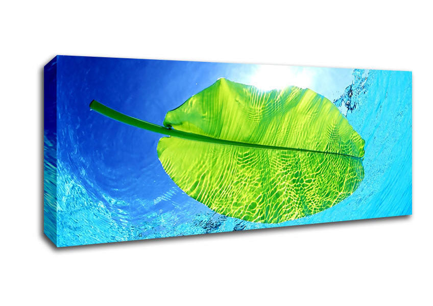 Blue Waters Of A Green Leaf Canvas Wall Art