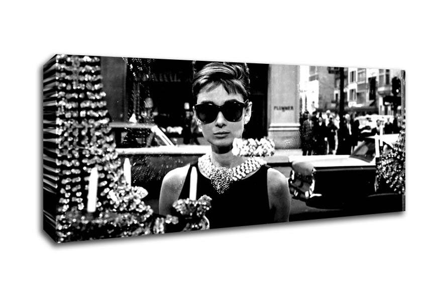 Audrey Hepburn Sunglasses Canvas Wall Art