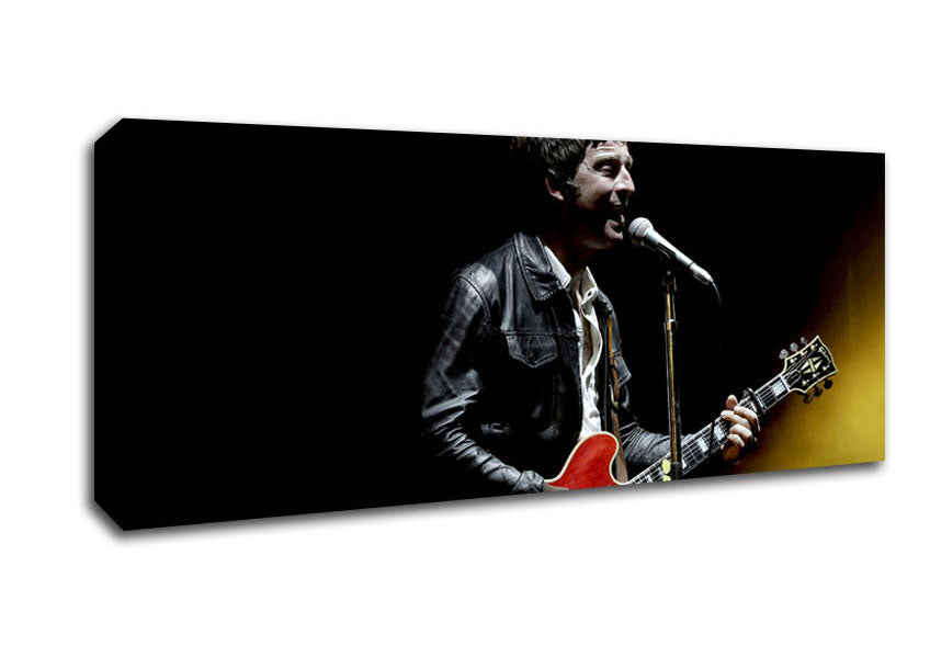 Noel Gallagher On Stage Canvas Wall Art