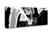 Robert Pattinson Canvas Wall Art