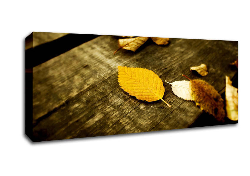 Autumn Leaves On The Deck Canvas Wall Art