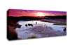 Sunset On Top Of The World Canvas Wall Art
