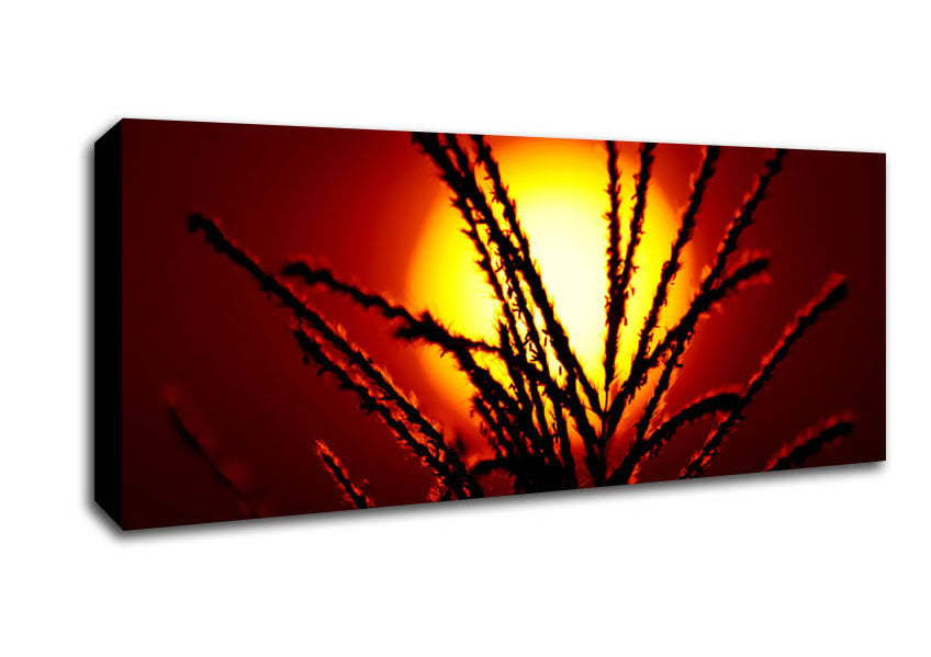 As The Sun Lights Up The Reeds Canvas Wall Art