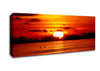 Swans On The Orange Ocean Reflection Canvas Wall Art
