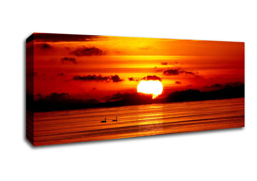 Swans On The Orange Ocean Reflection Canvas Wall Art