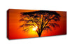 Sunset Through The Trees Canvas Wall Art