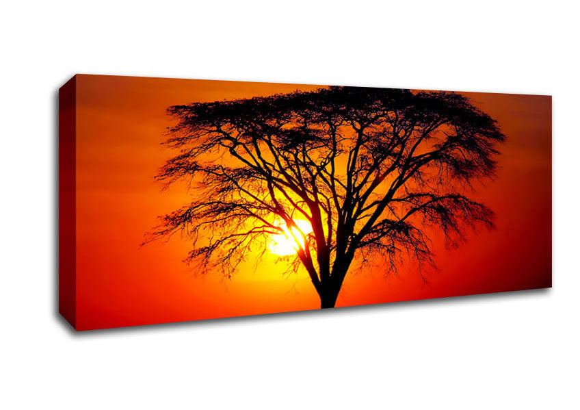 Sunset Through The Trees Canvas Wall Art