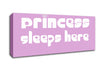 Nursery Quote Princess sleeps 2 Pink Canvas Wall Art
