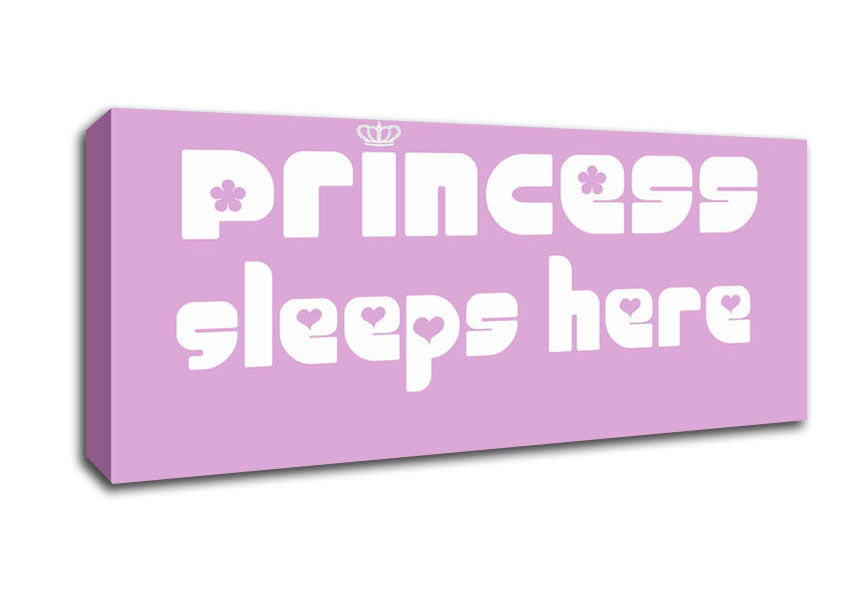 Nursery Quote Princess sleeps 2 Pink Canvas Wall Art