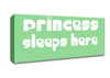 Nursery Quote Princess sleeps 2 Green Canvas Wall Art