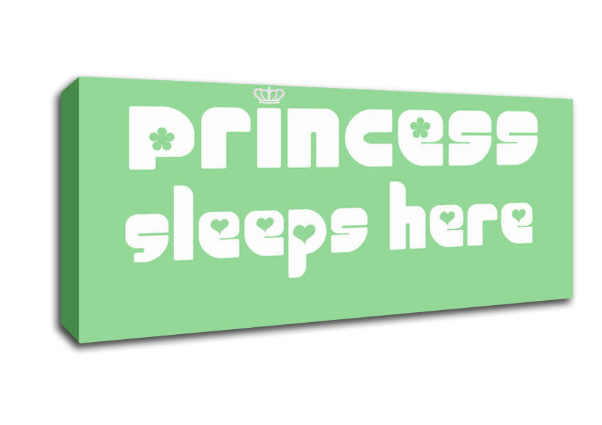 Nursery Quote Princess sleeps 2 Green Canvas Wall Art