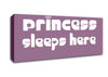 Princess sleeps 2 Dusty Pink Canvas Wall Art