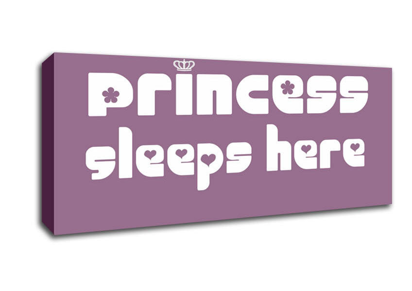 Princess sleeps 2 Dusty Pink Canvas Wall Art