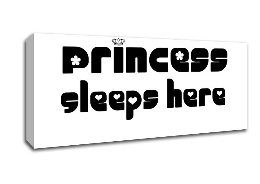 Princesss Sleeps Here 2 White Canvas Wall Art