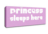 Princesss Sleeps Here 2 Pink Canvas Wall Art