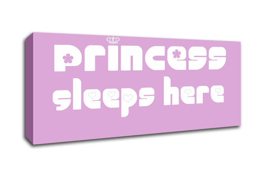 Princesss Sleeps Here 2 Pink Canvas Wall Art