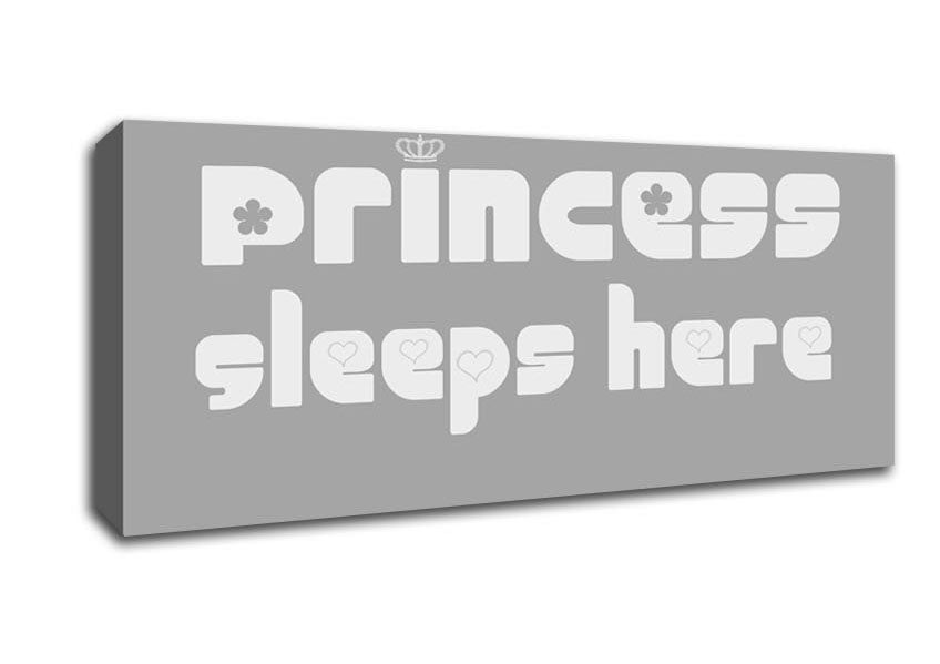 Princesss Sleeps Here 2 Grey White Canvas Wall Art