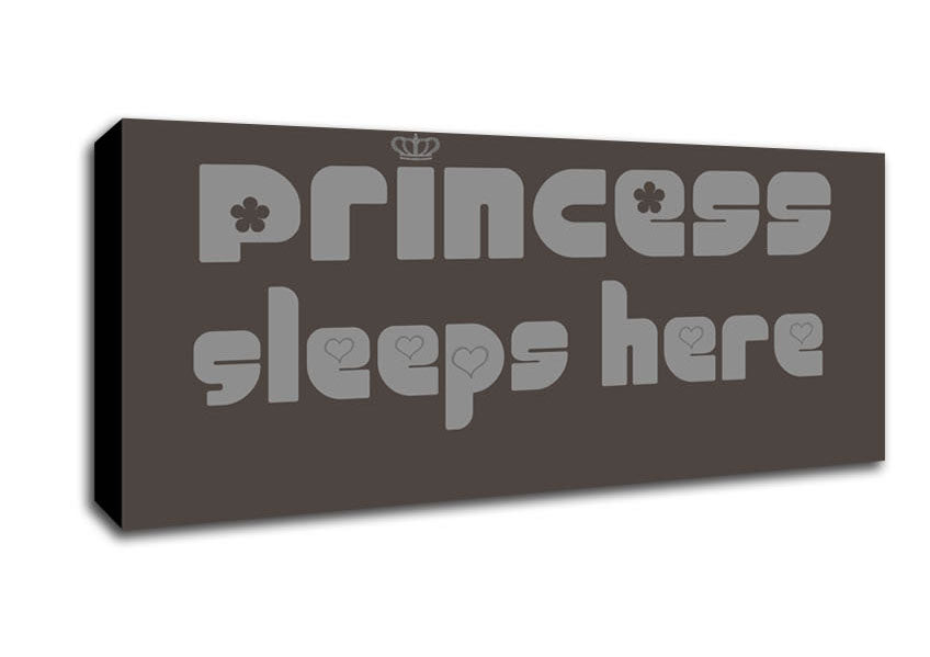 Princesss Sleeps Here 2 Chocolate Canvas Wall Art