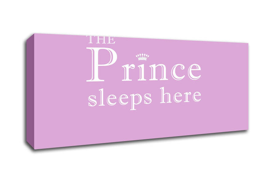 Nursery Quote The Prince Sleeps Here Pink Canvas Wall Art
