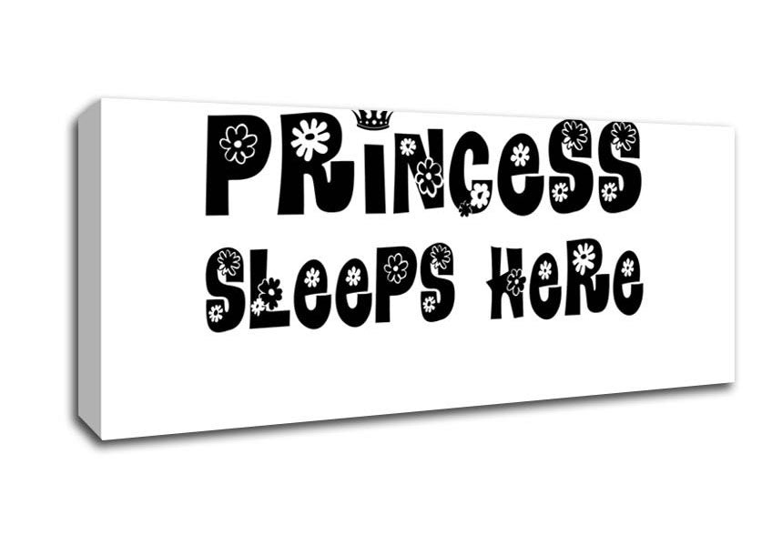 Princesss Sleeps Here White Canvas Wall Art