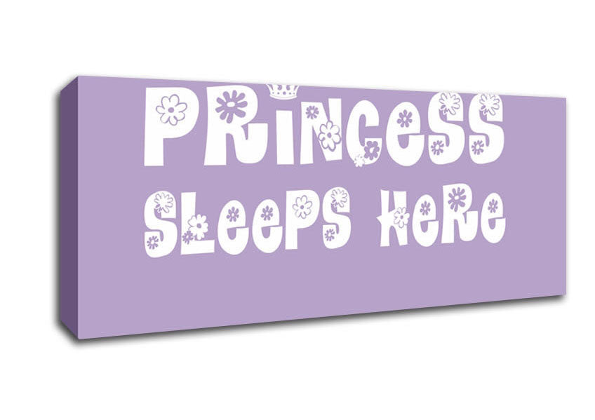 Nursery Quote Princesss Sleeps Here Lilac Canvas Wall Art