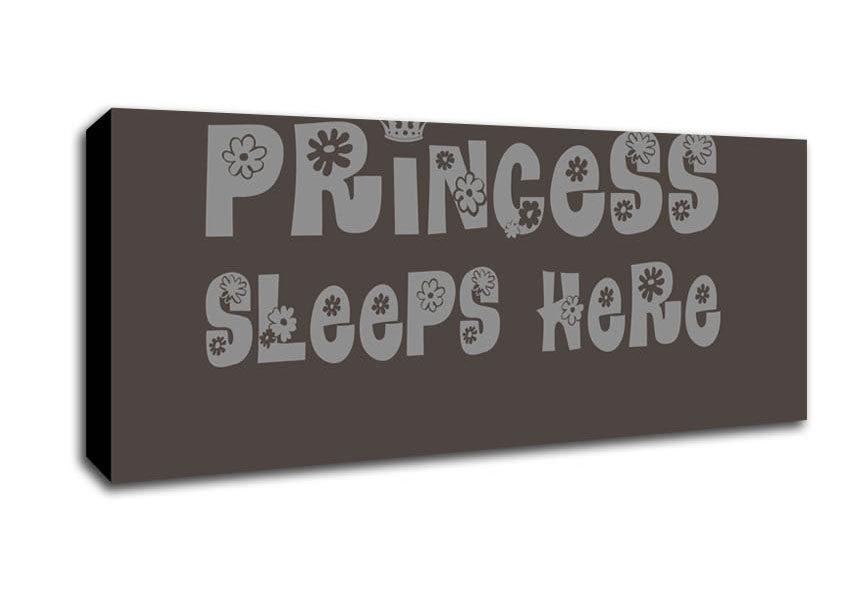 Princesss Sleeps Here Chocolate Canvas Wall Art