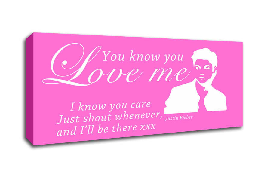 Music Quote You Know You Love Me Justin Bieber Vivid Pink Canvas Wall Art