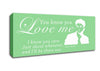 Music Quote You Know You Love Me Justin Bieber Green Canvas Wall Art