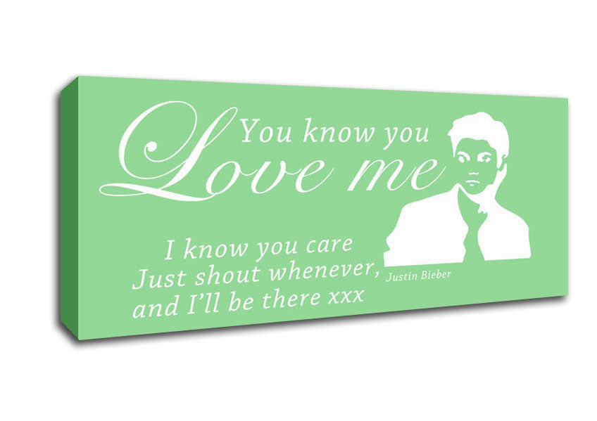 Music Quote You Know You Love Me Justin Bieber Green Canvas Wall Art