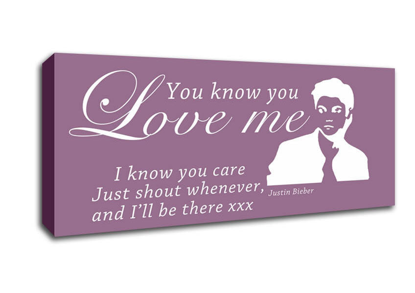 Music Quote You Know You Love Me Justin Bieber Dusty Pink Canvas Wall Art