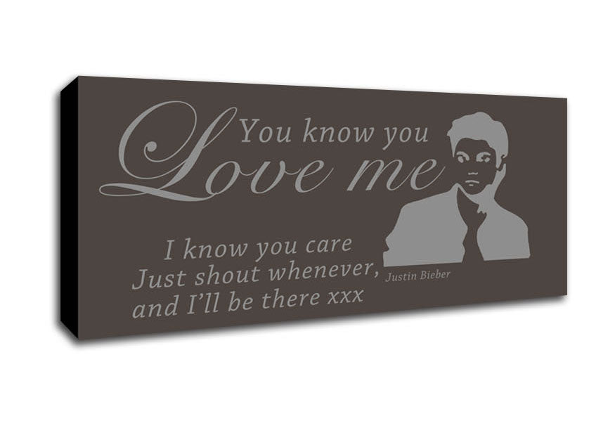 Music Quote You Know You Love Me Justin Bieber Chocolate Canvas Wall Art