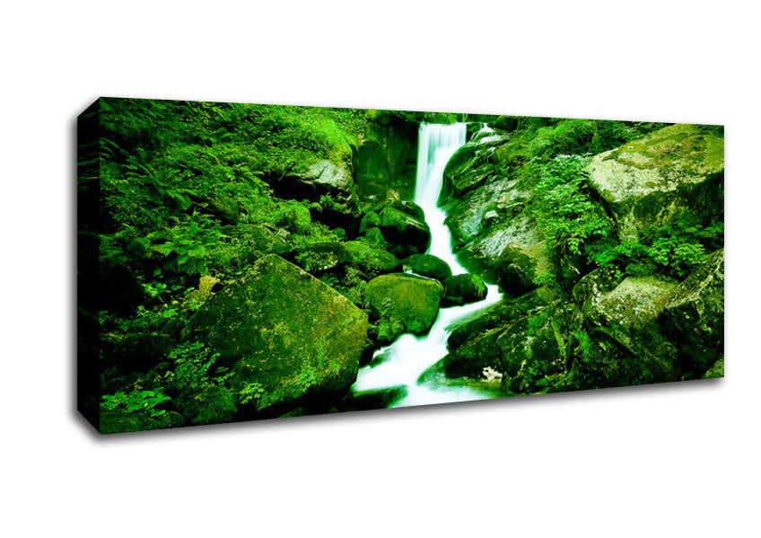 The Rocks In The Forest Stream Canvas Wall Art