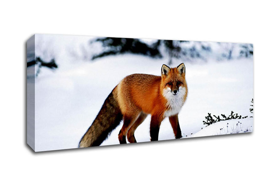 Arctic Fox In Snow Canvas Wall Art