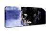 Black Panther Canvas Wall Art