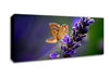 Butterfly On Lavender Flower Canvas Wall Art