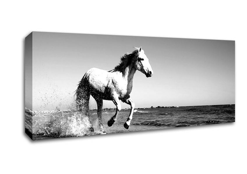 Camargue White Horse Canvas Wall Art