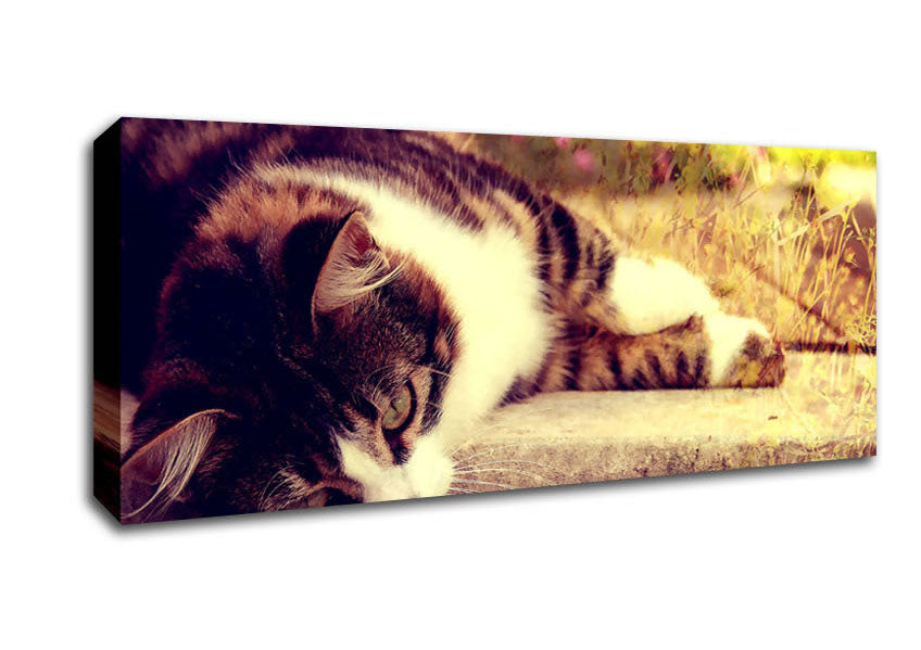 Cat Stillness Canvas Wall Art