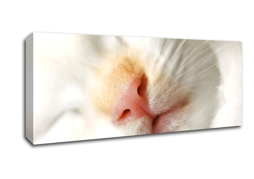 Cat Nose Canvas Wall Art