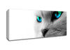 Cats Eyes Blue n Green Canvas Wall Art